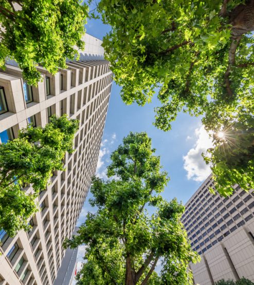 Fresh,Green,Trees,And,Urban,Buildings
